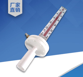 PP頂裝磁翻板液位計